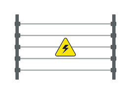 Electirc Fence